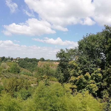 Апартаменты Nel Chianti Lungo La Francigena Колле-ди-Валь-д'Эльса Экстерьер фото