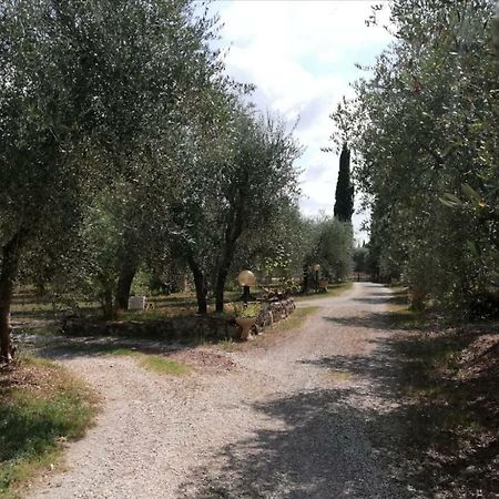 Апартаменты Nel Chianti Lungo La Francigena Колле-ди-Валь-д'Эльса Экстерьер фото