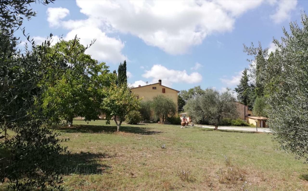 Апартаменты Nel Chianti Lungo La Francigena Колле-ди-Валь-д'Эльса Экстерьер фото