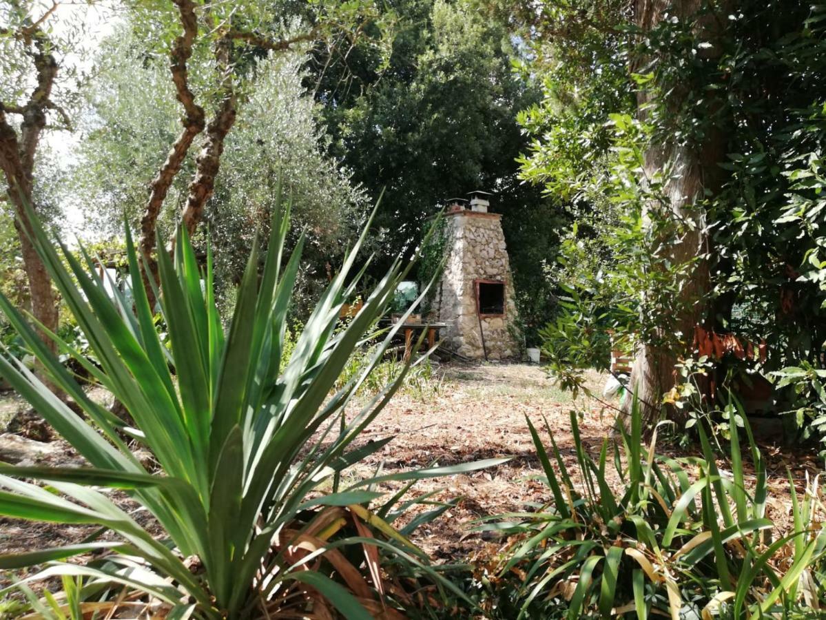 Апартаменты Nel Chianti Lungo La Francigena Колле-ди-Валь-д'Эльса Экстерьер фото