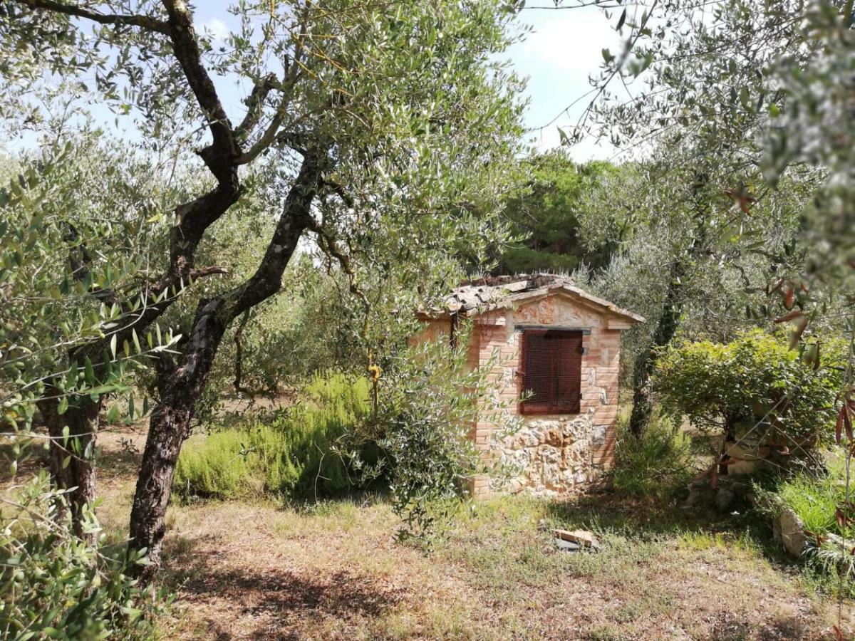 Апартаменты Nel Chianti Lungo La Francigena Колле-ди-Валь-д'Эльса Экстерьер фото