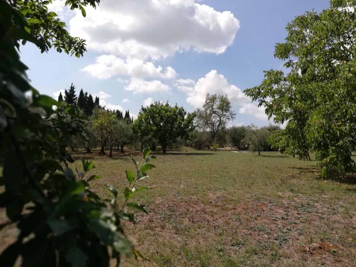 Апартаменты Nel Chianti Lungo La Francigena Колле-ди-Валь-д'Эльса Экстерьер фото