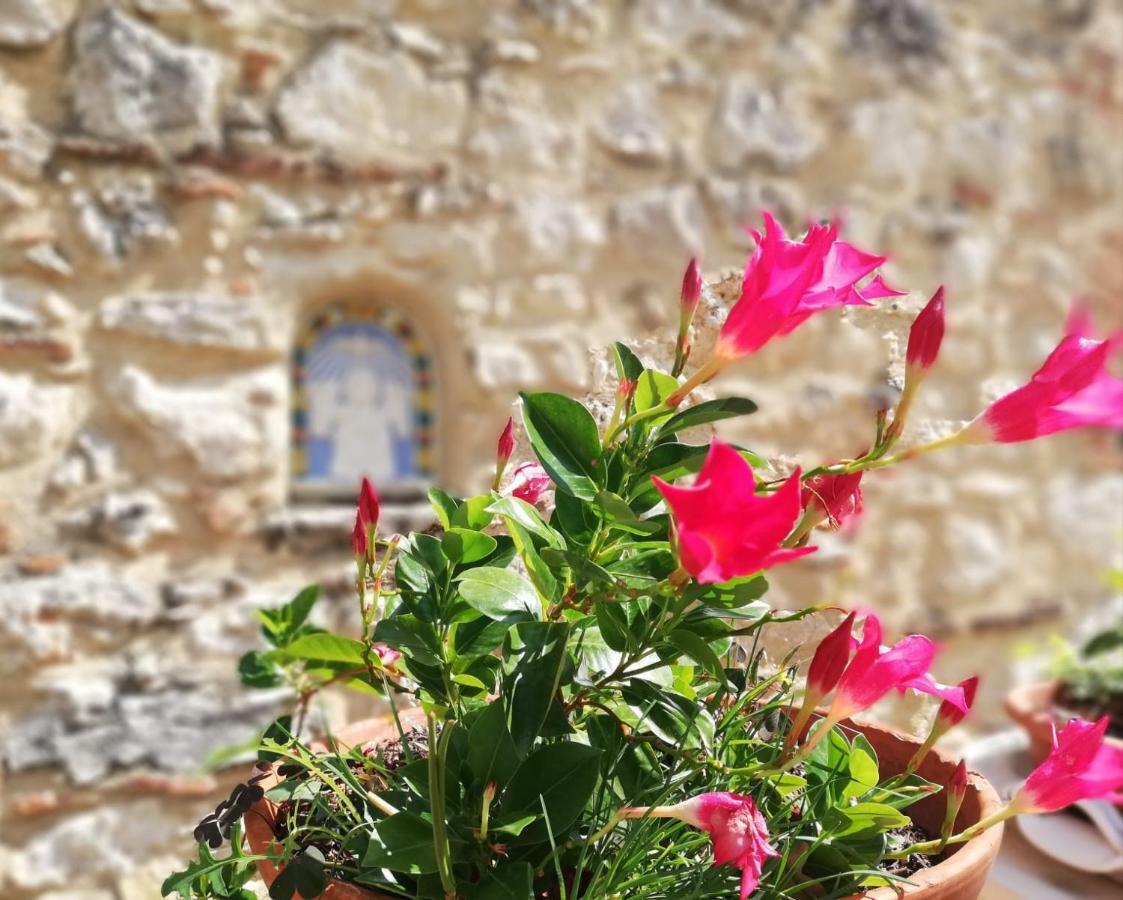 Апартаменты Nel Chianti Lungo La Francigena Колле-ди-Валь-д'Эльса Экстерьер фото