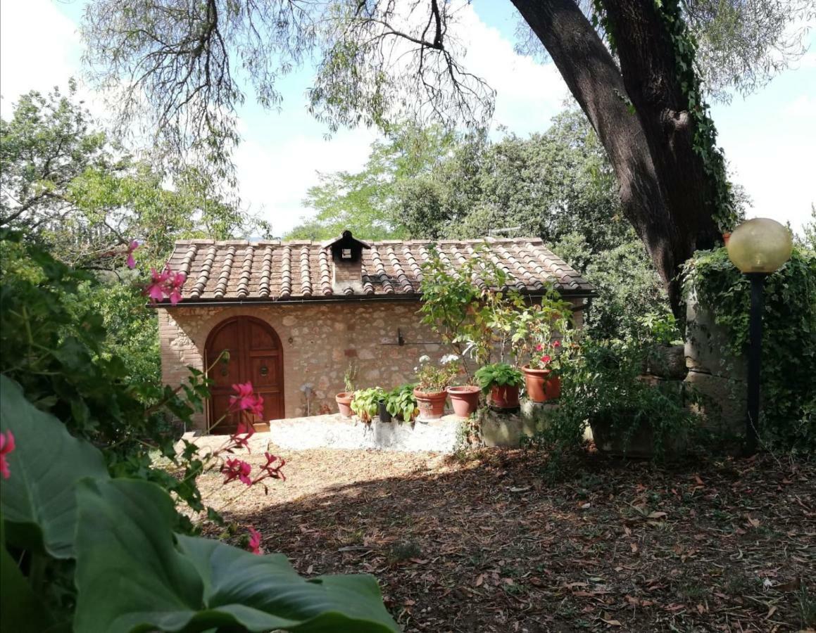 Апартаменты Nel Chianti Lungo La Francigena Колле-ди-Валь-д'Эльса Экстерьер фото