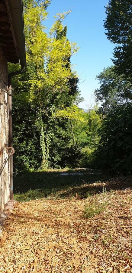 Апартаменты Nel Chianti Lungo La Francigena Колле-ди-Валь-д'Эльса Экстерьер фото