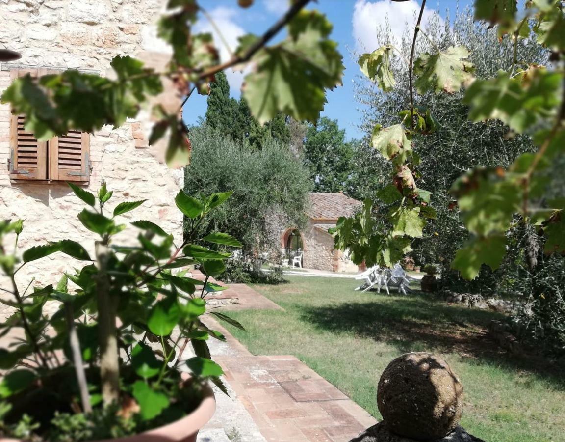 Апартаменты Nel Chianti Lungo La Francigena Колле-ди-Валь-д'Эльса Экстерьер фото