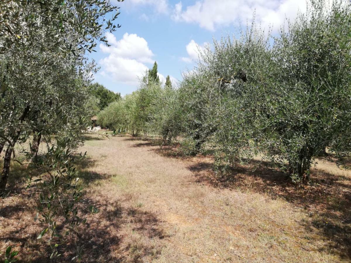 Апартаменты Nel Chianti Lungo La Francigena Колле-ди-Валь-д'Эльса Экстерьер фото