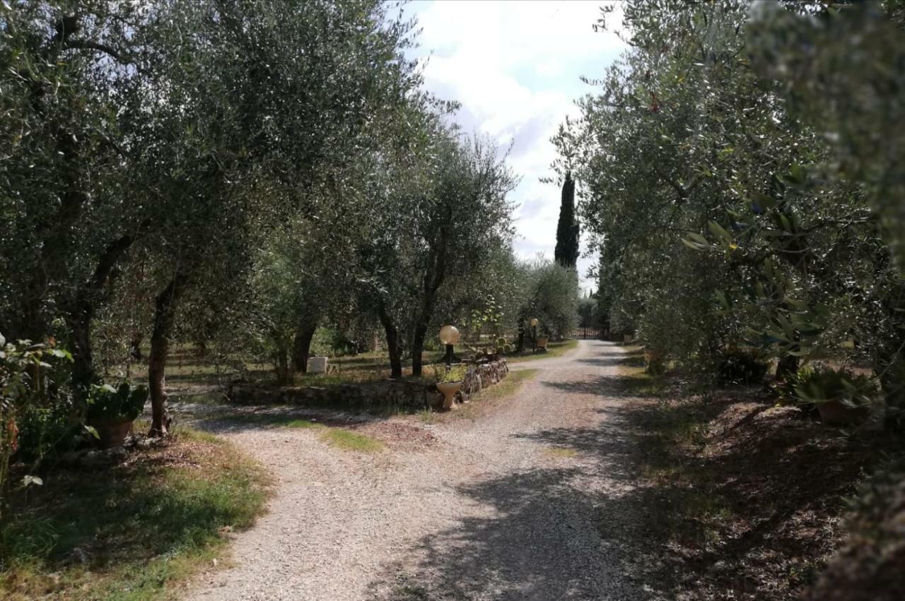 Апартаменты Nel Chianti Lungo La Francigena Колле-ди-Валь-д'Эльса Экстерьер фото